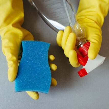 pexels-jonathanborba-28576636 pexels-jonathanborba-28576636